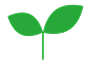 自立訓練（生活訓練）